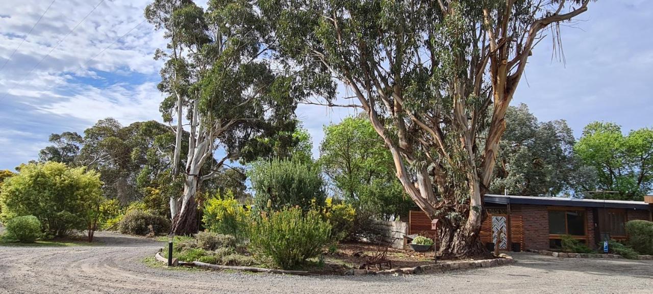 Halls Haven Holiday Units Halls Gap Esterno foto
