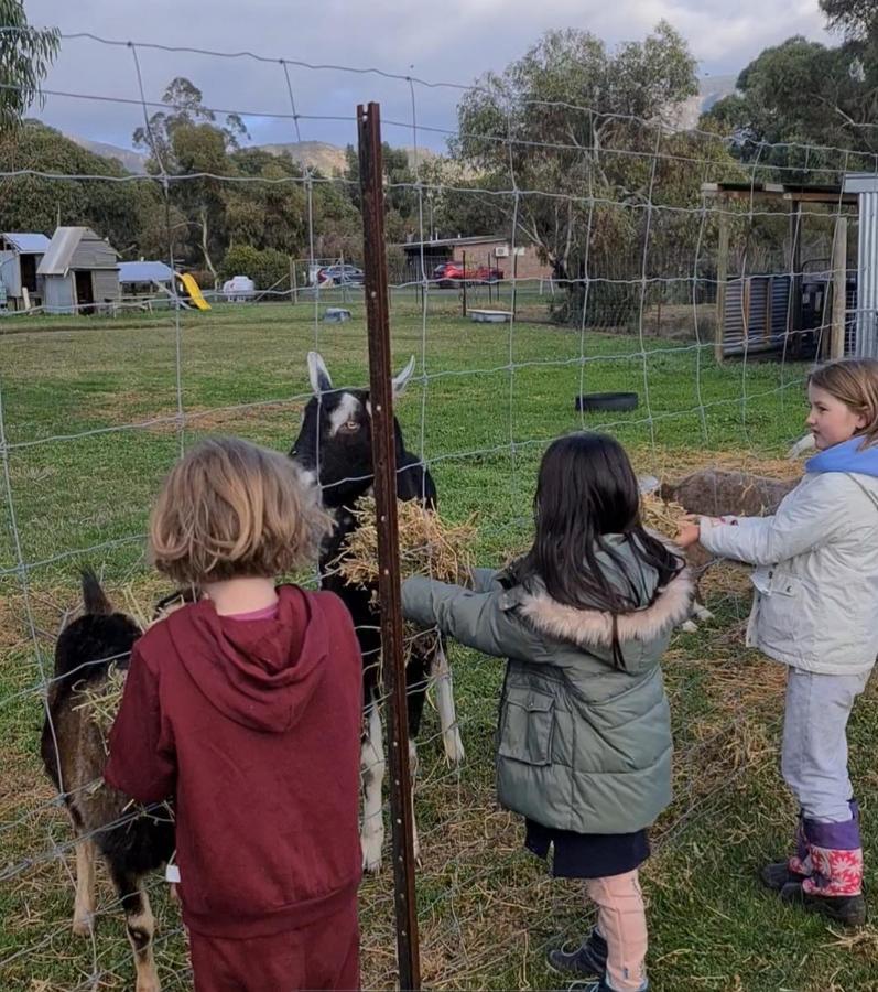 Halls Haven Holiday Units Halls Gap Esterno foto