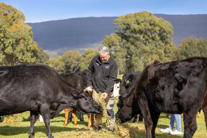 Halls Haven Holiday Units Halls Gap Esterno foto
